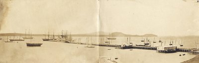 Auckland kikötője, 1865 (albumin nyomat) alkotó: John Nicol Crombie