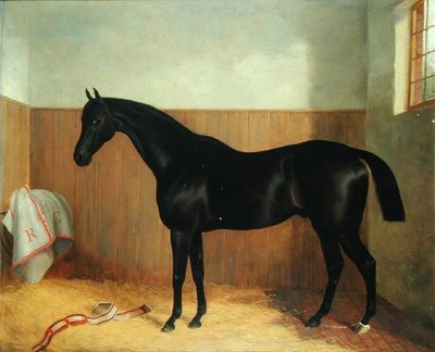 Tommy, Egy ló portréja, 1870-es évek (olaj, vászon) alkotó: John Paul