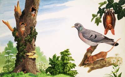 A halott fa alkotó: John Rignall