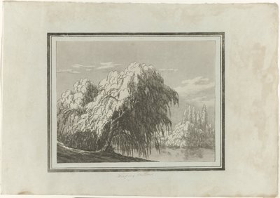 Szomorúfűz alkotó: John Robert Cozens