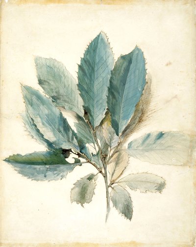  alkotó: John Ruskin