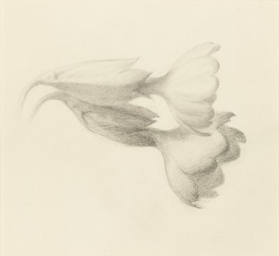 Cowslip Bells, valószínűleg 1871. alkotó: John Ruskin