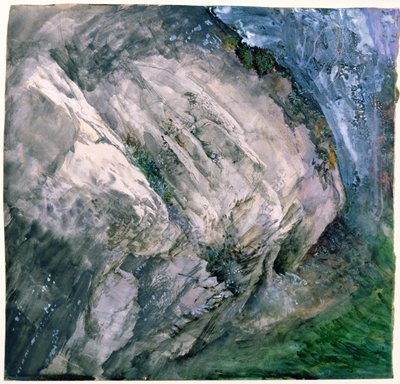 Sziklák és növényzet Chamouniban, 1854 alkotó: John Ruskin