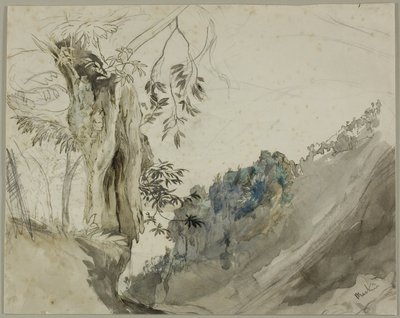 Spanyol gesztenye alkotó: John Ruskin