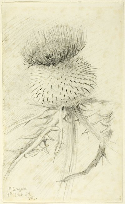 St. Cergues alkotó: John Ruskin