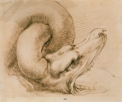 Egy sárkányfej tanulmányozása Michelangelo után (tinta papíron) alkotó: John Ruskin