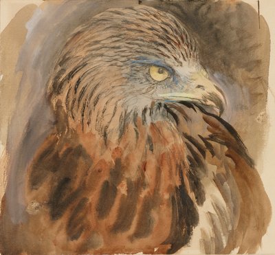 A sárkány feje, az Életből, 1870. augusztus 30-tól szeptember 1-ig. alkotó: John Ruskin