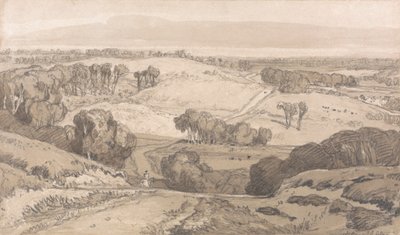 Holt Heath, Norwich közelében alkotó: John Sell Cotman