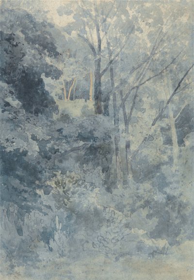 A Rokeby Parkban alkotó: John Sell Cotman