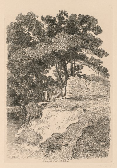 Liber Studiorum: Plate 13, Duncomb Park, Yorkshire: No. 5, 1838. alkotó: John Sell Cotman