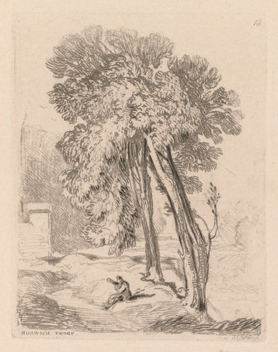 Liber Studiorum: Plate 18, Trees at Norwich Thorp, Norfolk alkotó: John Sell Cotman