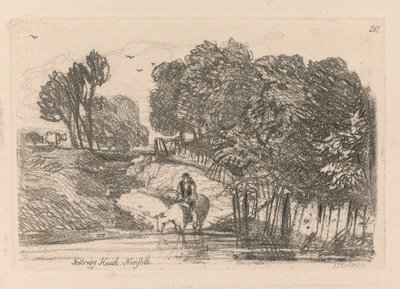 Liber Studiorum: Plate 20, Felbrigg Heath, Norfolk, 1838 alkotó: John Sell Cotman