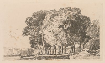 Liber Studiorum: 3. tábla, Fák Twickenham közelében alkotó: John Sell Cotman