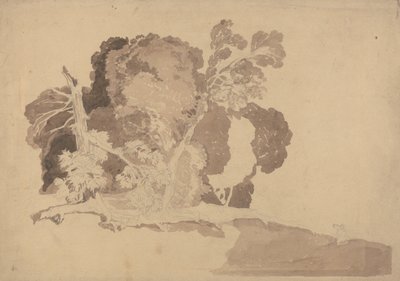 Fák tanulmányozása alkotó: John Sell Cotman