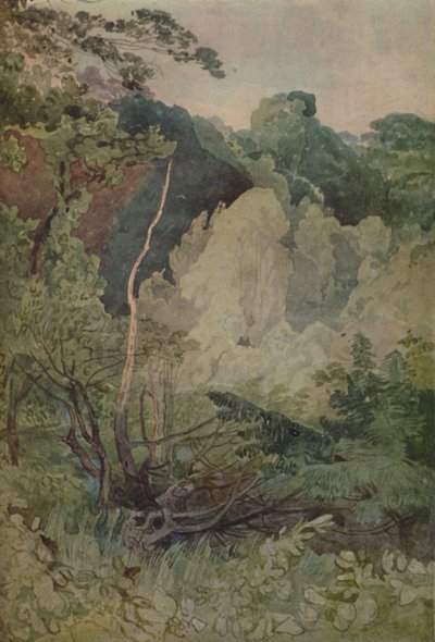 Fák a Greta folyó közelében, 1923 alkotó: John Sell Cotman