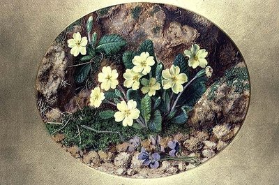 Primula és Ibolya alkotó: John Sherrin