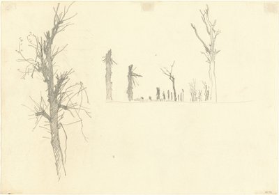 Elpusztított fák [verso] alkotó: John Singer Sargent