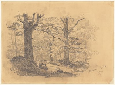 Forest, Ramsau, Németország, 1871. alkotó: John Singer Sargent