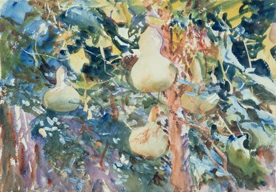 Tökök, 1905 körül (wc papíron) alkotó: John Singer Sargent
