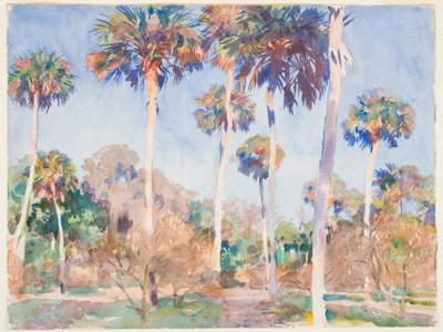 Pálmák, 1917 (wc grafit felett, papíron) alkotó: John Singer Sargent