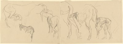 Tanulmányok a kálvária lovak patkolásához a fronton [recto], 1918. alkotó: John Singer Sargent