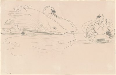 Hattyúk a vízben alkotó: John Singer Sargent