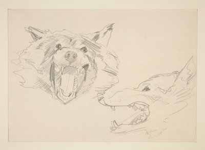 Két nézet egy farkasról alkotó: John Singer Sargent