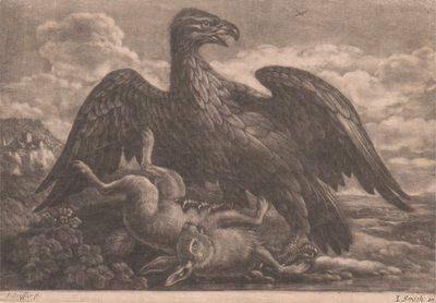 Eagle és Hare alkotó: John Smith