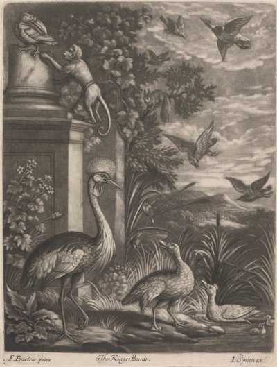 A Kings Birds alkotó: John Smith
