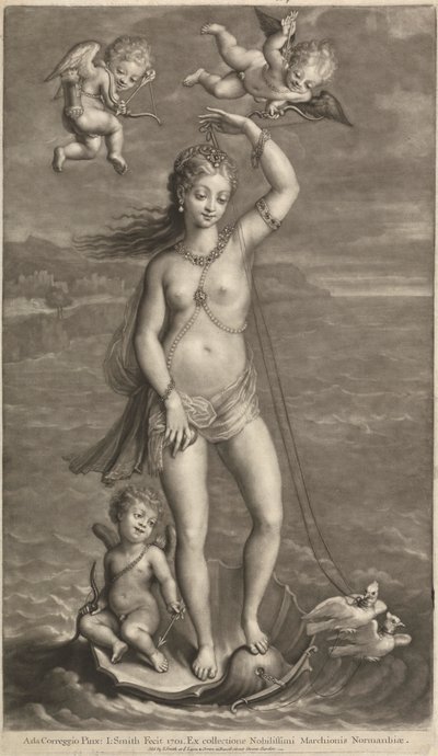 Galatea diadala alkotó: John Smith