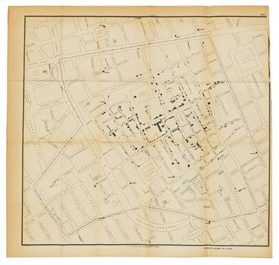 Egy térkép "A kolera kommunikációs módjáról", 1855 alkotó: John Snow