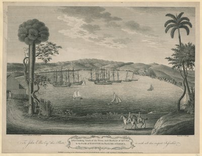 Lucea városától és kikötőjétől délre néző kilátás a hannoveri plébánián, Jamaica északi oldalán alkotó: John Spilsbury
