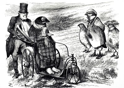 Egy rajzfilm, amely a Grouse Shooting felfüggesztését kommentálja, hogy lehetővé tegye az állomány újjáépítését. Illusztrálta: John Tenniel (1820-1914) angol illusztrátor, grafikus humorista és politikai karikaturista alkotó: John Tenniel