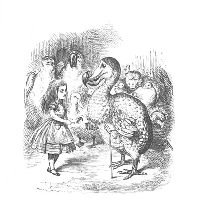 Alice és a Dodo, 1889 alkotó: John Tenniel