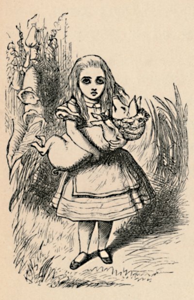 Alice disznót tart a karjában, 1889 alkotó: John Tenniel