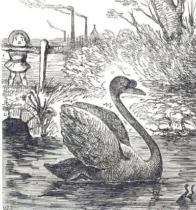 Rajzfilm kommentálja a londoni Temze szennyezését alkotó: John Tenniel