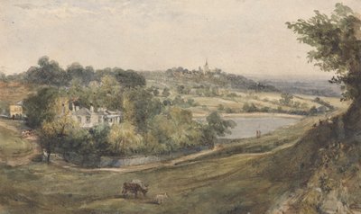 Vale of Health – Hampstead alkotó: John Thomas Smith