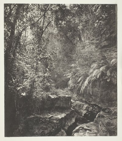 Hegyi hágó Formózában alkotó: John Thomson