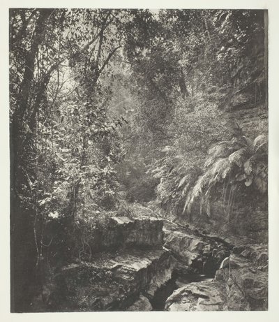 Egy hegyi hágó Formosában, c. 1868. alkotó: John Thomson
