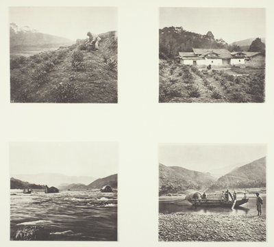 A teanövény; A teanövény; Yenping Rapids; Egy kis Rapid Boat alkotó: John Thomson