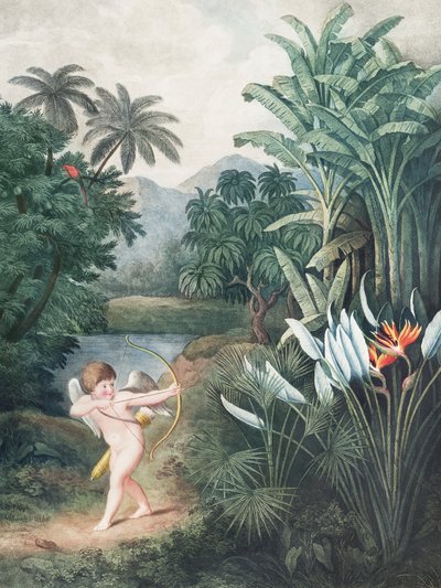 Ámor, aki a szerelemmel ihleti a növényeket – a Flora-templomból (1807) – Robert John Thornton alkotó: John Thornton