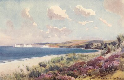 Studland Bay (színes litográfia) alkotó: John W.G. Bond