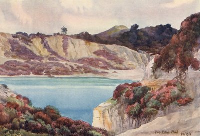 A kék medence (színes litográfia) alkotó: John W.G. Bond