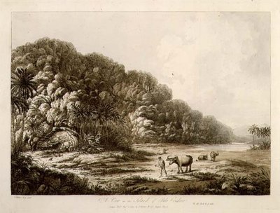 Kilátás Pulo Condor szigetén, a "Kilátások a déli tengeren" pubból. 1792 (rézkarc) alkotó: John Webber