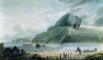 A karácsonyi kikötő képe Kerguelen földjén, 1781-4 alkotó: John Webber
