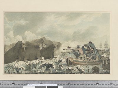 F.32 Sea Horses, 1773-84 körül (akvarell) alkotó: John Webber