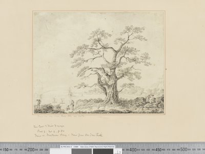 F.44 Kilátás a tenger partjára, nagy fa a közepén, 1783-84 körül alkotó: John Webber