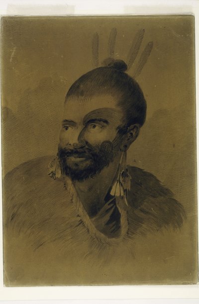 Egy új-zélandi portré, 1777 körül alkotó: John Webber