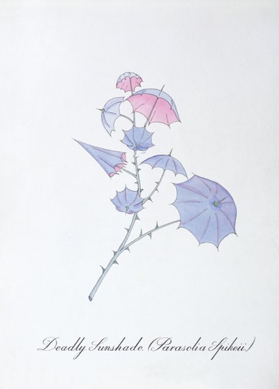 Halálos napernyő (Parasolia Spikeii.), illusztráció John Weir „A botanika hamis könyvéből” alkotó: John Weir