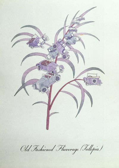 Old Fashioned Flivverage (Fallopia.), illusztráció John Weir „A botanika hamis könyvéből” alkotó: John Weir